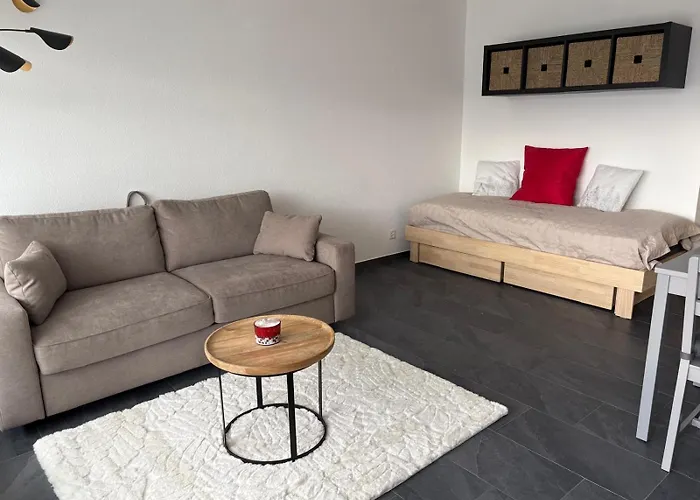 Apartment Renove Orion *